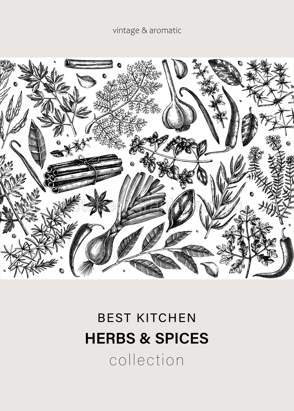 Hand-drawn herbs and spices vector card design. Hand-sketched food illustration. Aromatic plant drawings. Kitchen herbs and spice frame template in sketched style for invitation, menu, banners Illustration